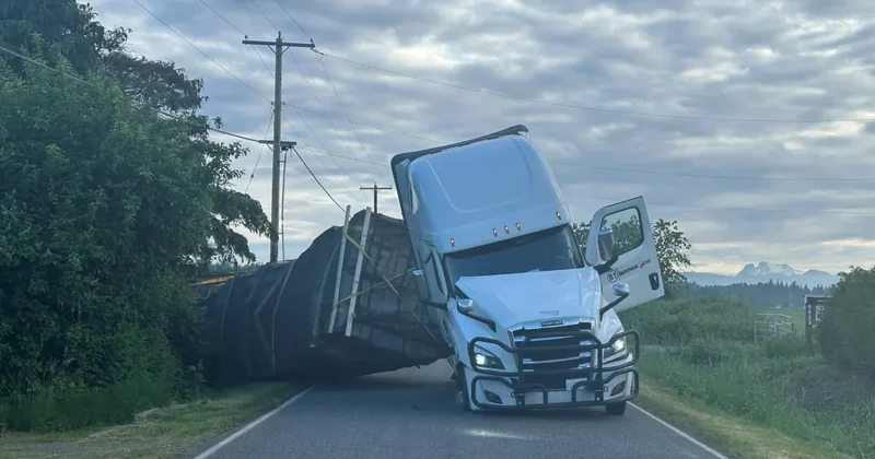 В Вашингтоне вышли на свободу 250 миллионов пчел Видео