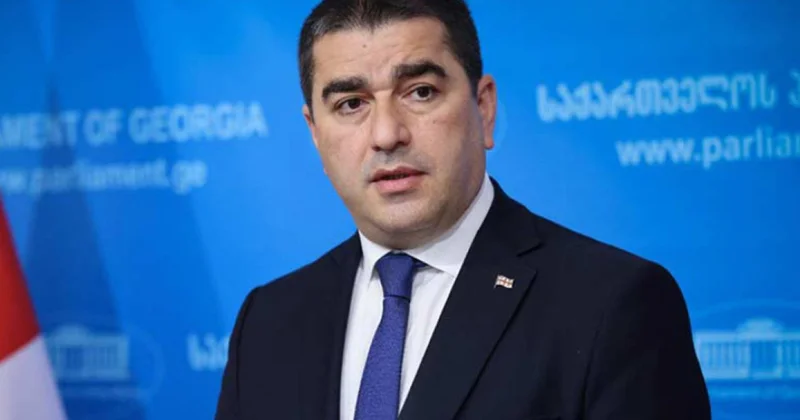Fransa və Polşa Gürcüstan iqtisadiyyatına zərbə vurmağa çalışır Papuaşvili