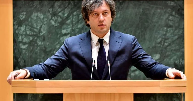 Avropa bürokratiyası qanunun aliliyinə məhəl qoymur Kobaxidze