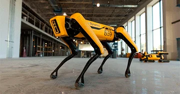 Koreyada robot itə parkur və divarlarda qaçmağı öyrədiblər...