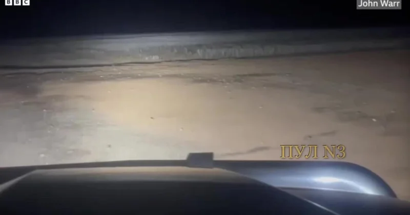 Нашествие мышей охватило Австралию ВИДЕО