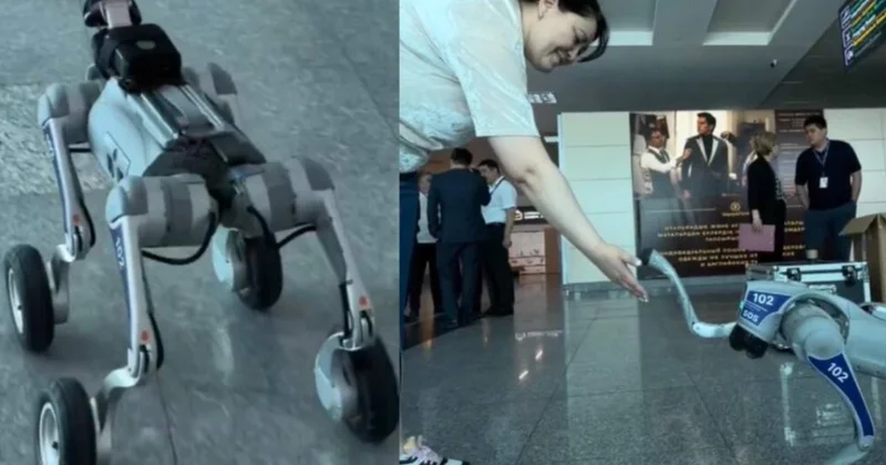 Qazaxıstanın Aktau şəhərində robot itlər ictimai məkanlarda patrul xidməti aparır