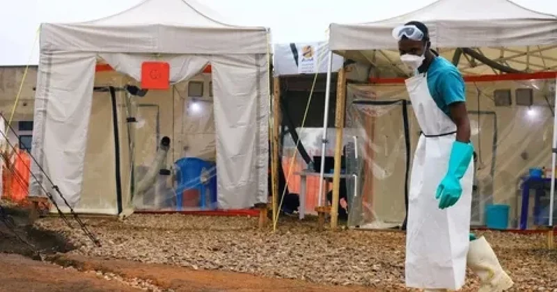 Nigeriyada vəba qurbanlarının sayı 37 yə çatıb