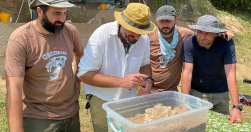 Gürcü arxeoloqlar Dmanisi rayonu ərazisində erkən hominidə aid alt çənə sümüyü aşkar ediblər