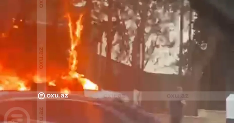 Hava limanı yolu istiqamətində avtomobil ALIŞDI: Ağaclara ziyan dəydi
