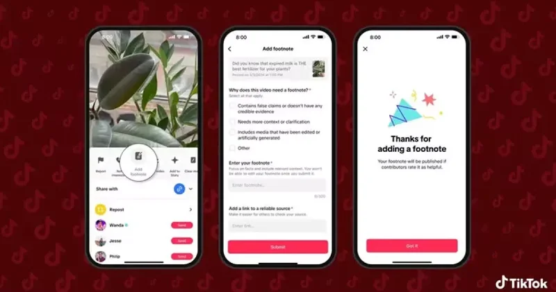 TikTok запустил систему проверки фактов