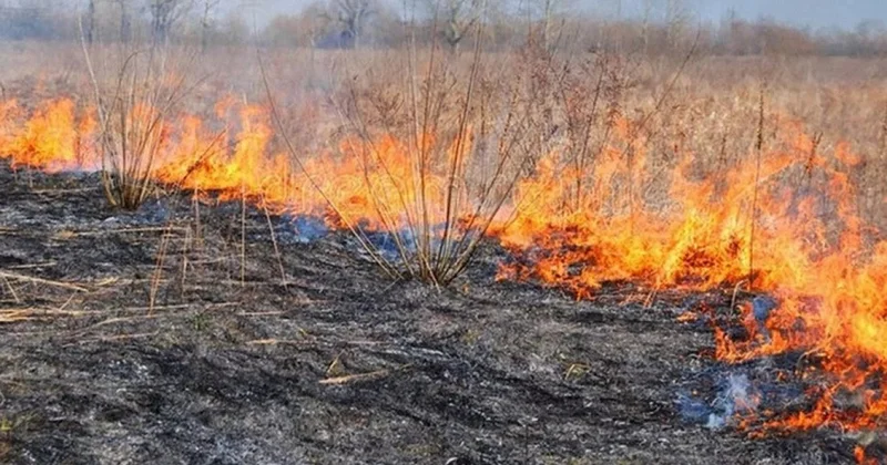 МЧС напомнило о пожарной безопасности на фоне жары