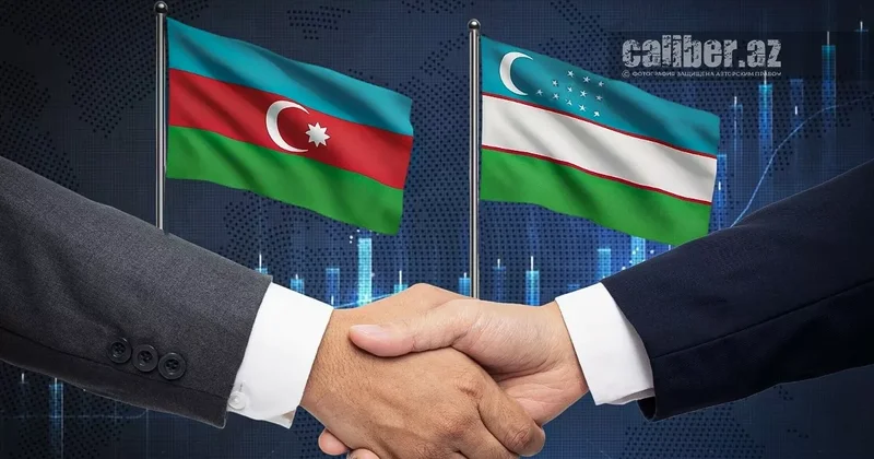 Баку и Ташкент формируют новую энергетическую ось Центральной Азии Статья Роберта М. Катлера на Asia Times