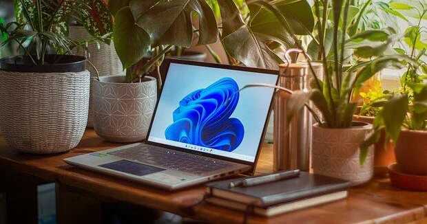 Microsoft удалит пароли всех пользователей Дата