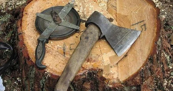 Bərdədə FACİƏ: Həyətində ağac kəsən 79 yaşlı kişi Yuxarı Qarabağ kanalına yıxıldı