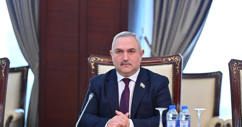 Azərbaycan Dilinin Tarixi Zəfəri