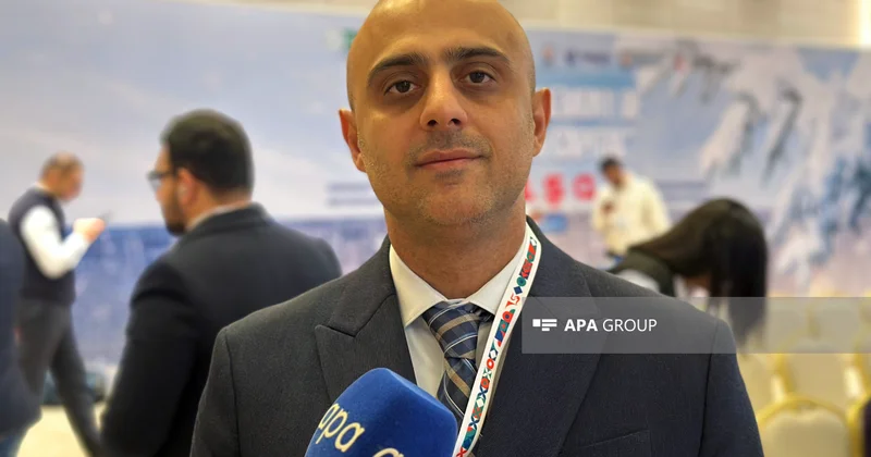 Kino Agentliyinin baş direktoru: Hazırda 10 tammetrajlı bədii film istehsal olunur