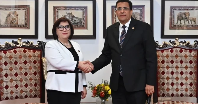 Milli Məclis ilə Pan Afrika Parlamenti arasında əməkdaşlıq müzakirə olunub