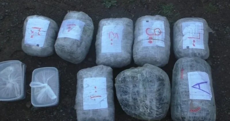 Xəzər rayonunda 45 kiloqram narkotik aşkarlanıb