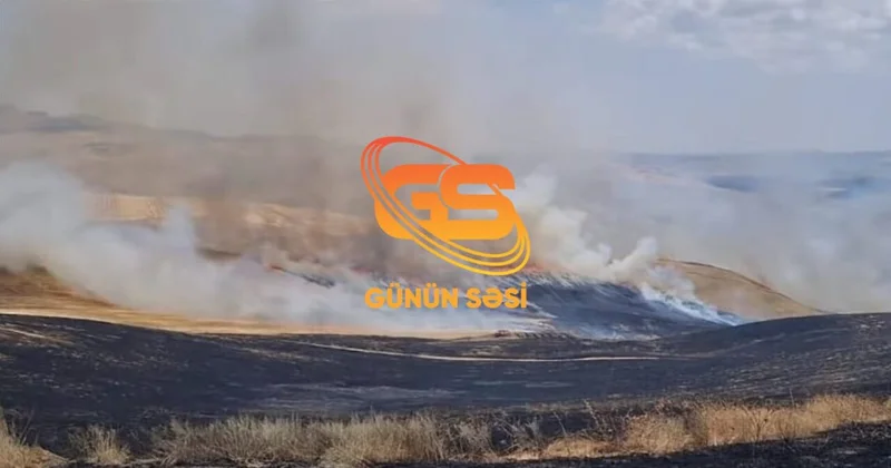Göydərə kəndində əkin sahələri yandırılıb Sakinlər məsul şəxsin cəzalandırılmasını istəyirlər