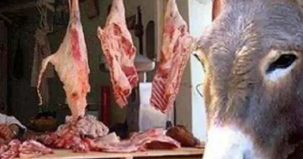 Vətəndaşa ən çox eşşək əti yedirdən ölkələr: Birinci yer təəccübləndirmədi...