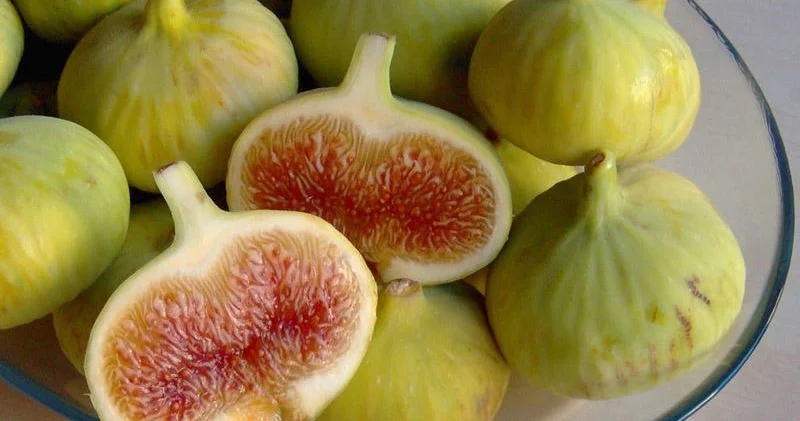 Əncirin bilmədiyimiz faydaları