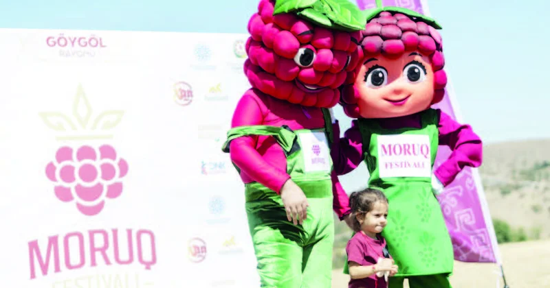 Keşkü Kəndində II Moruq Festivalı