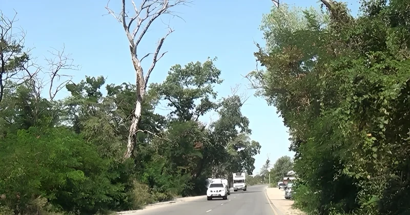 Sürücülərin kabusuna çevrilən yol