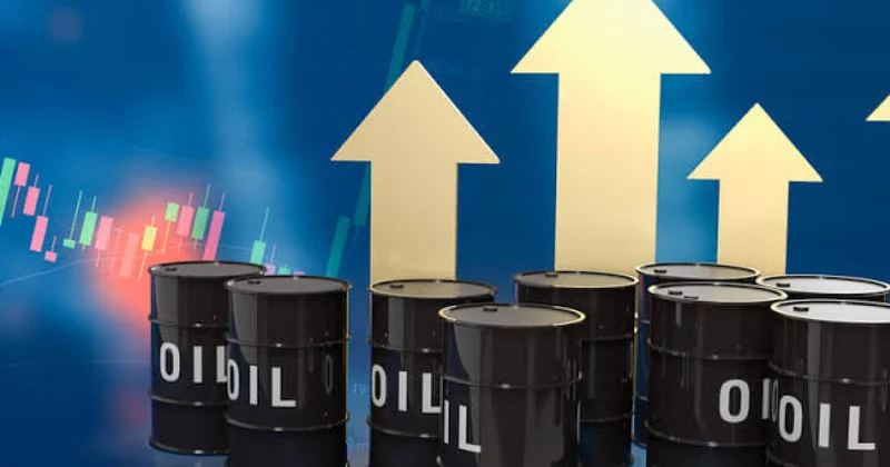 Нефтяные котировки растут