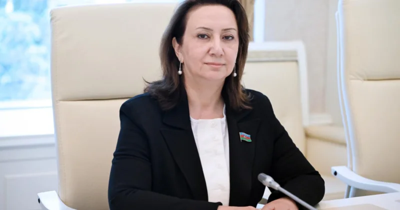 Azərbaycan Qırğızıstan münasibətləri Türk dünyasında həmrəyliyin mühüm dayağıdır ŞƏRH