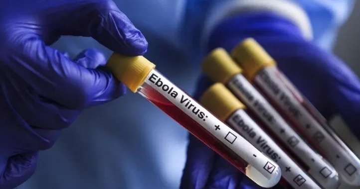 Konqoda Ebola virusuna yoluxanların sayı 6000 i keçib