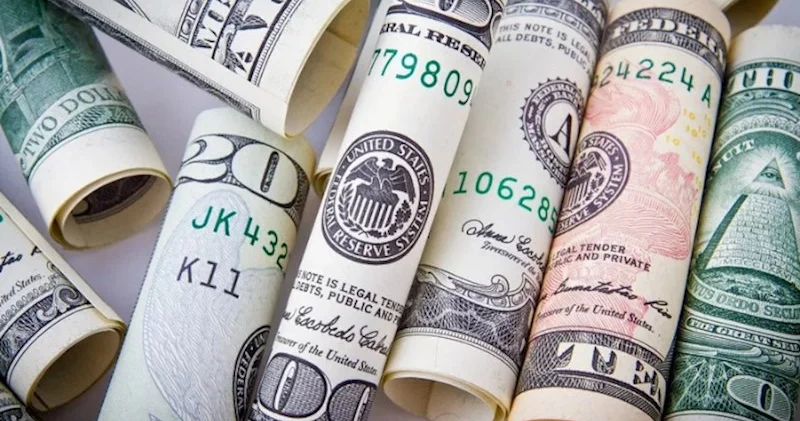 Dollar dəyişmədi, avro ucuzlaşdı