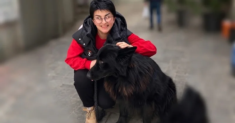Sizin də küçədə itlər adamlardan çoxdur?