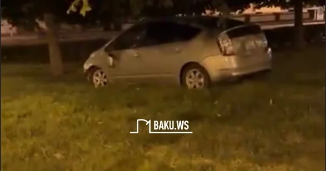 Yuxulu Prius sürücüsü avtomobilini Qış Parkı na saldı