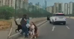 Bakıda sahibsiz it uşaqlı qadına hücum etdi