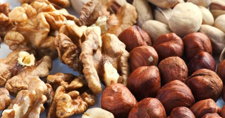 Qoz fındıq yeyənlərin düşünmə qabiliyyəti daha yüksək ola bilər