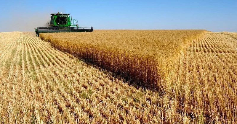 Самый большой месячный рост цен на сельхозпродукцию с 2012 года