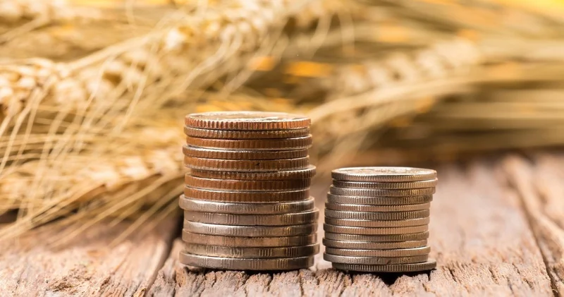 Bloomberg зафиксировал резкий рост мировых цен на сельхозпродукцию