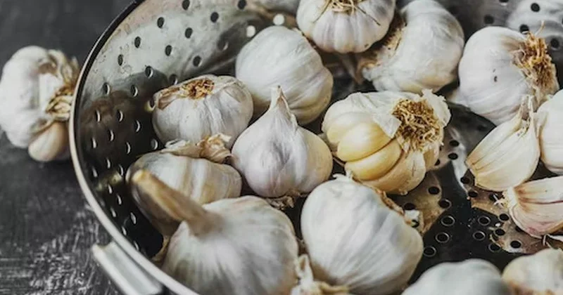 Gündə 2 diş ömrü 10 il uzada bilər