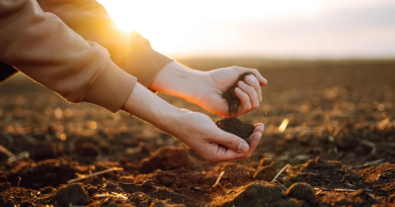Ученые впервые обнаружили у земли память