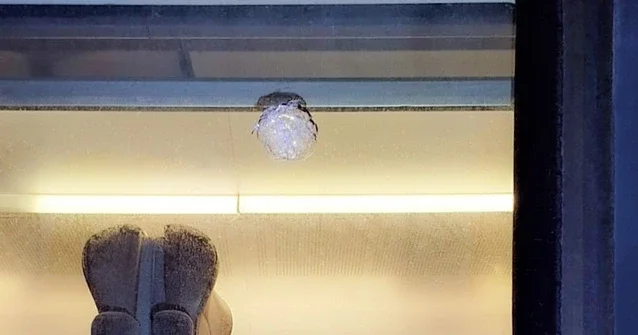 Опасная тенденция: 36 нападений на поезда АЖД за девять месяцев