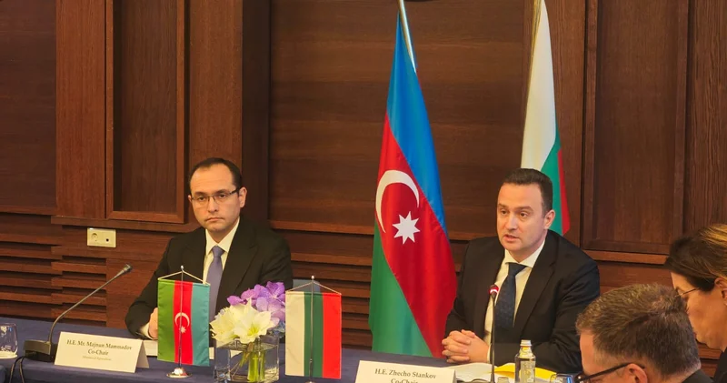 Болгария видит новые возможности сотрудничества с Азербайджаном помимо энергетики министр