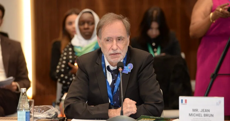 Возрождение Конго станет началом новой эры в Африке Жан Мишель Брюн