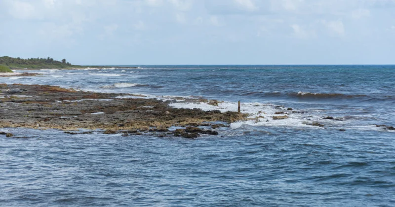 Xəzərlə bağlı dəhşətli proqnoz açıqlandı: 30 kilometr VİDEO