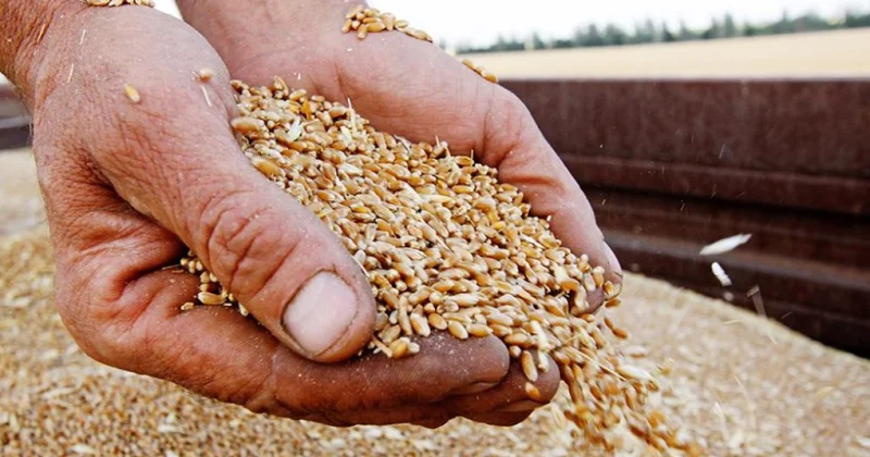 Польшу, Венгрию и Словакию могут наказать