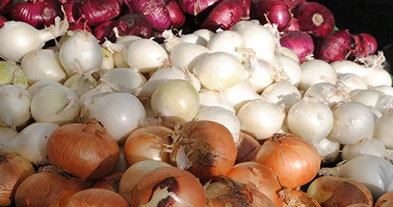 Soğan niyə ucuzdur və bu, nə qədər belə davam edəcək? Ekspert