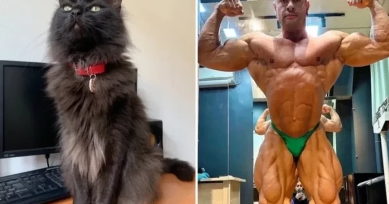 Pişiyinin ölümünü qəbul edə bilməyən bodibildinq çempionunun ürəyi dayanıb