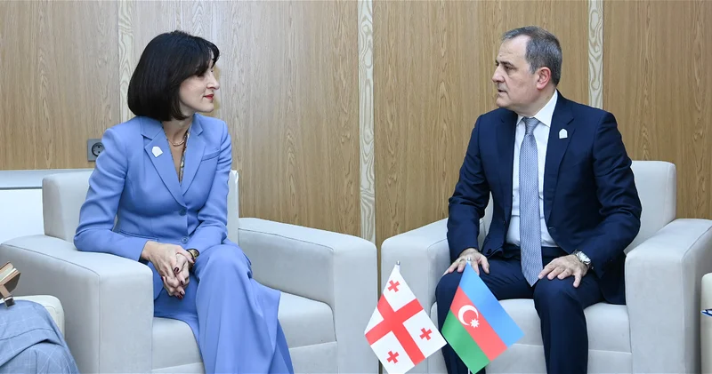 МИД Азербайджана и Грузии подтвердили высокий уровень двусторонних отношений ФОТО