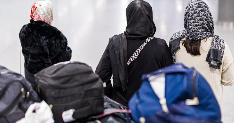 Almaniyaya federal qəbul proqramı çərçivəsində 14 əfqan gətirilib