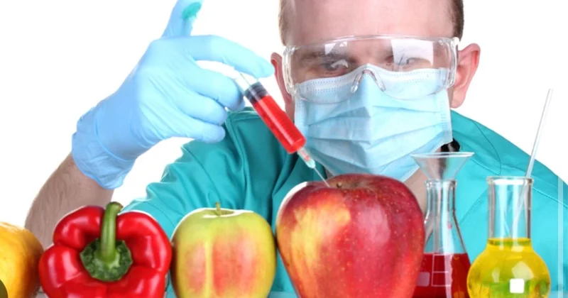 GMO məhsullarının Azərbaycanda satışı varmı?! EKSPERT RƏYLƏRİ