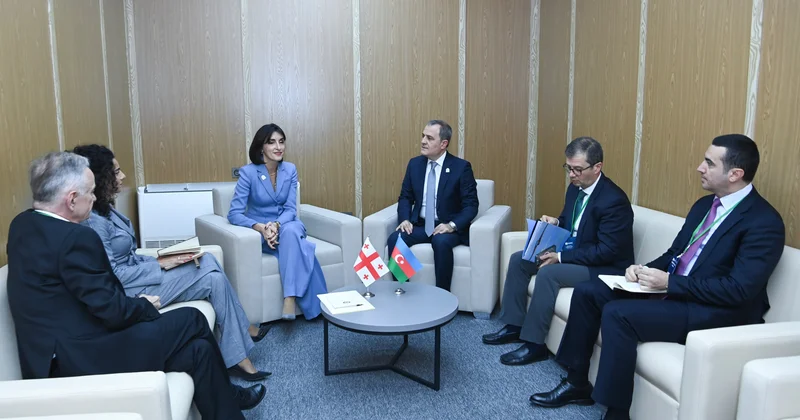 Байрамов провел встречу с главой МИД Грузии ФОТО