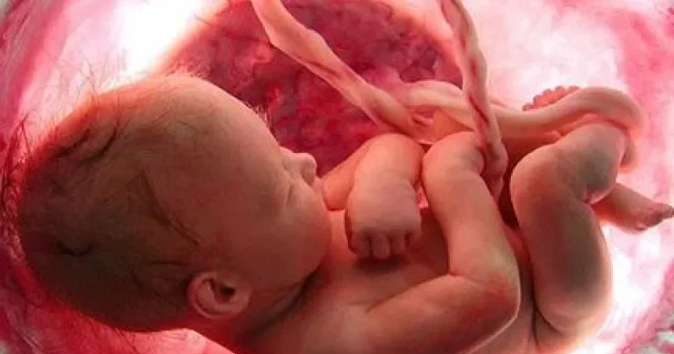 Hamiləlikdə döl niyə ölür? Bunları bilməsəniz, təhlükə qaçılmazdır HƏKİMDƏN AÇIQLAMA