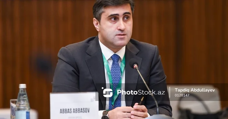 Аббас Аббасов: Мировое сообщество должно признать колониальные преступления Бельгии