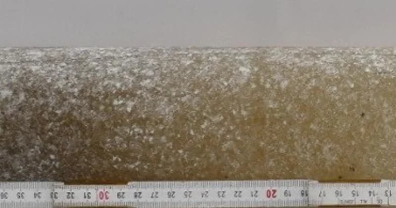 Antarktidada kəşf edilən 6 milyon illik buz nüvəsi Yer kürəsinin iqlim sirlərini açır