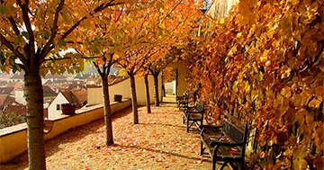 Payız turizmi üçün ən yaxşı şəhərlərin adları açıqlanıb...